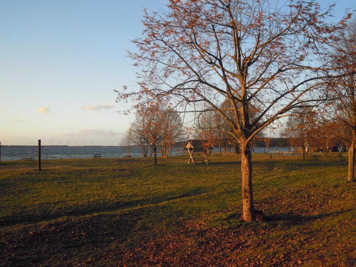 Lenzer Parkblick Am Plauer See المظهر الخارجي الصورة