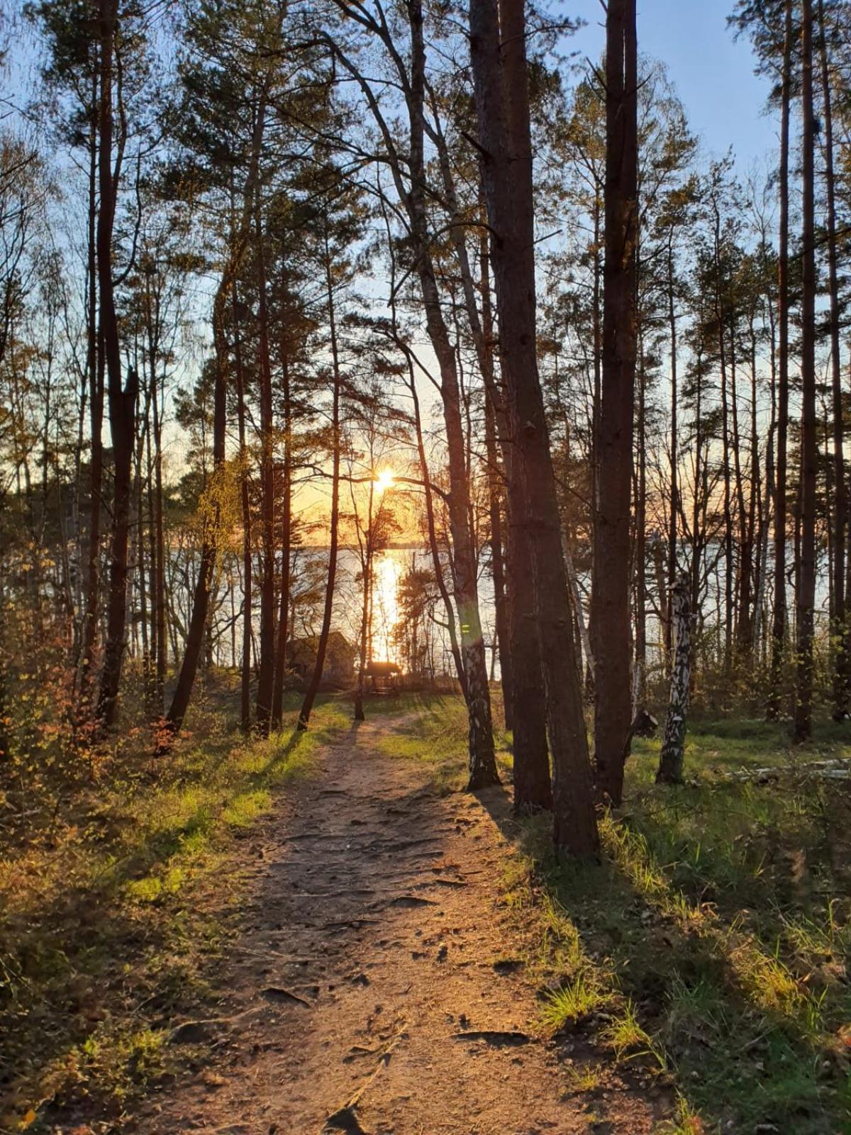 Lenzer Parkblick Am Plauer See المظهر الخارجي الصورة